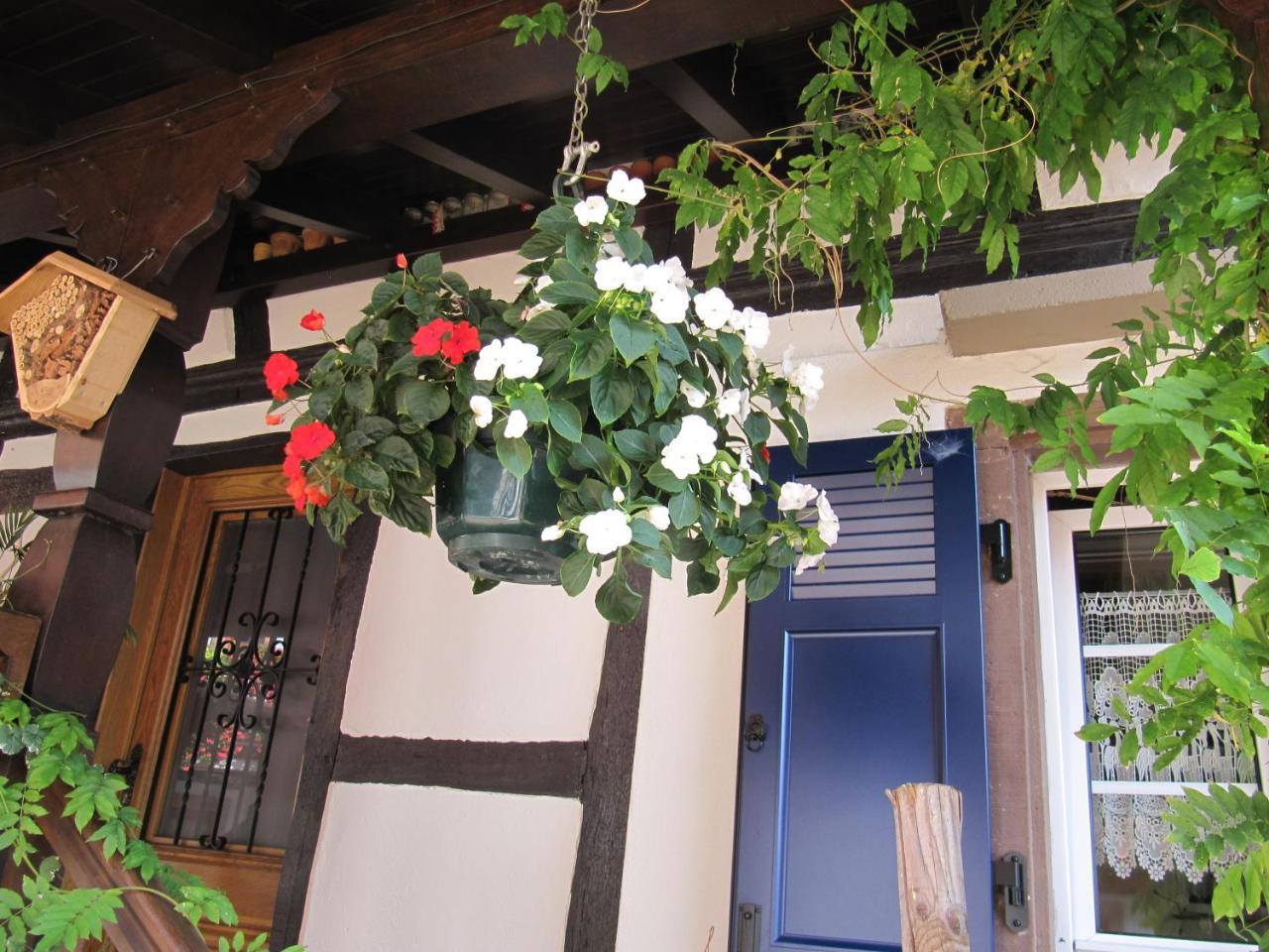 La Ferme De Louise Bed & Breakfast Hohengoeft Ngoại thất bức ảnh